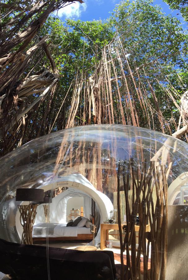 Bubble Lodge Ile Aux Cerfs Island Ile aux Cerfs Exterior foto