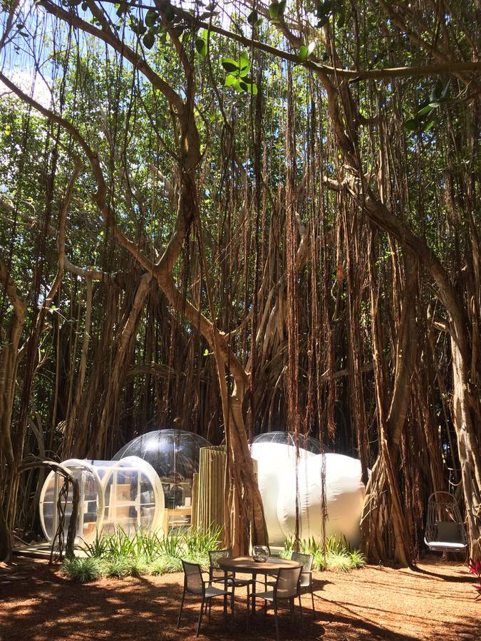 Bubble Lodge Ile Aux Cerfs Island Ile aux Cerfs Exterior foto