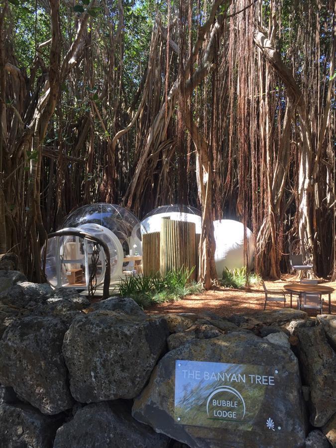 Bubble Lodge Ile Aux Cerfs Island Ile aux Cerfs Exterior foto