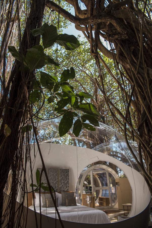 Bubble Lodge Ile Aux Cerfs Island Ile aux Cerfs Exterior foto